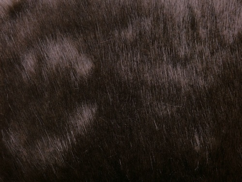 3025_brown_1