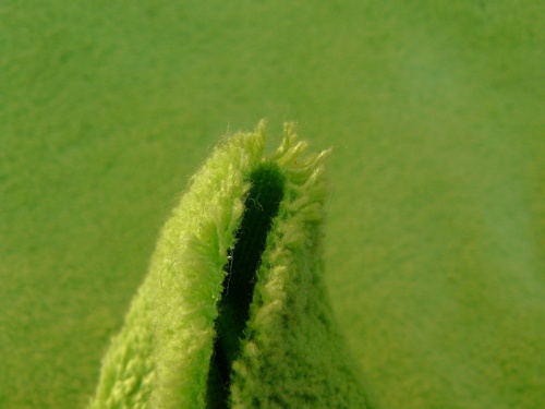 cotton_lime4