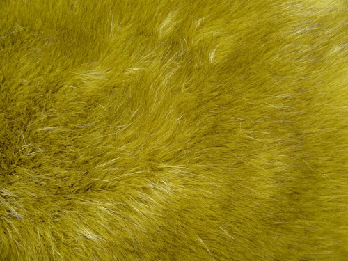 lime_tipped_1