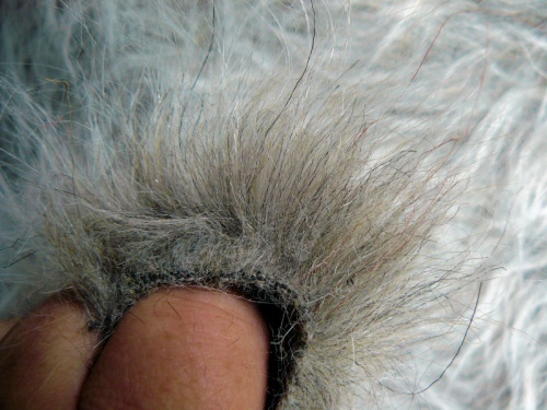 Long Chinchilla  25-85mm pile