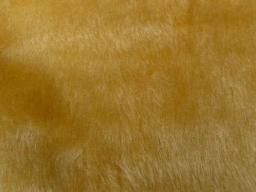 oatmeal_800_1