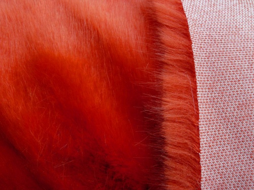orange_lush_3